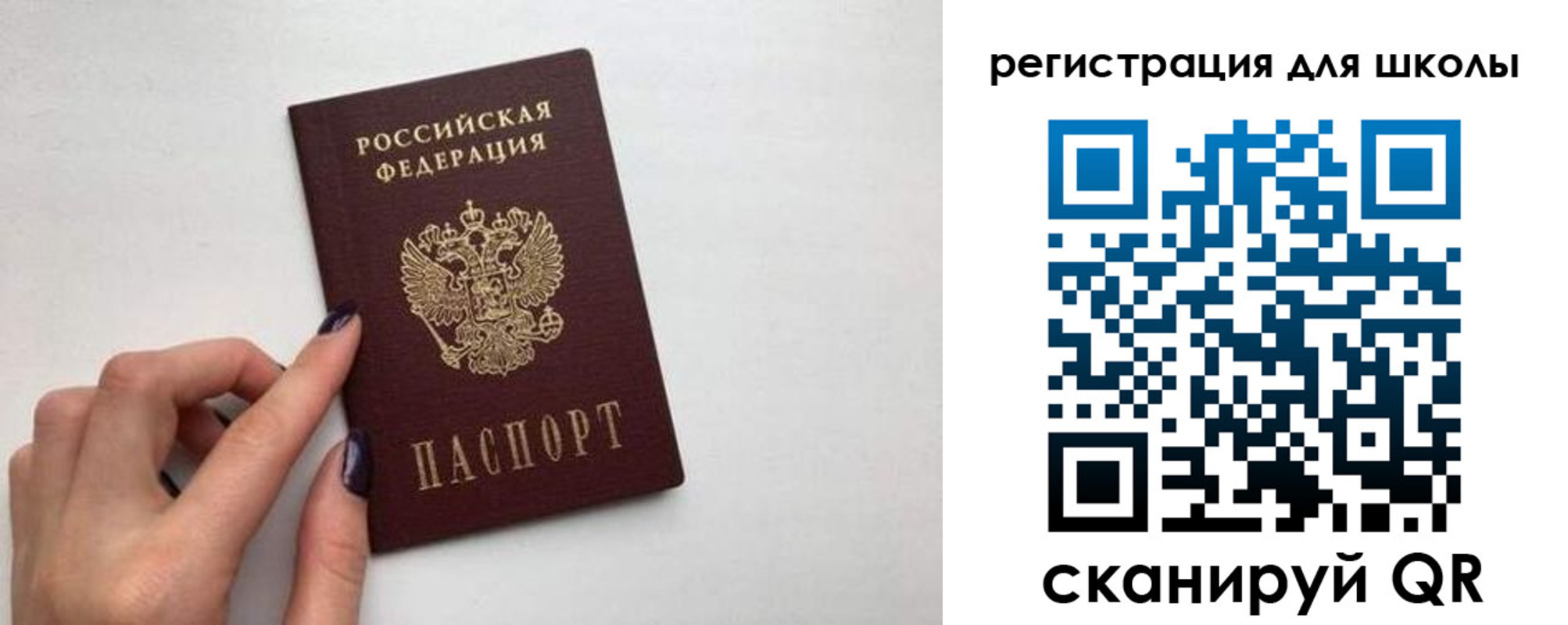 прописка поиск в Почепе